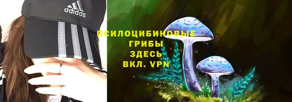 таблы Александровское