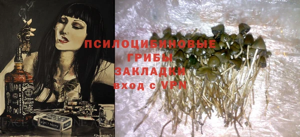 PSILOCYBIN Яровое