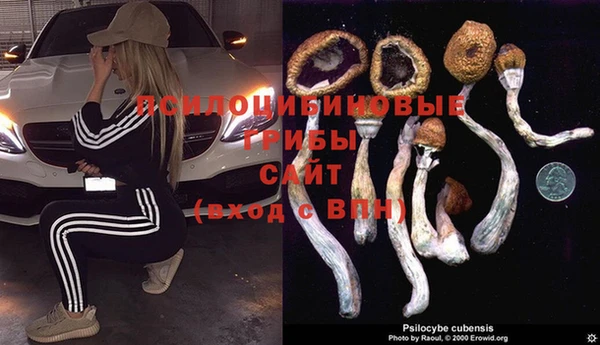 ешки Иноземцево