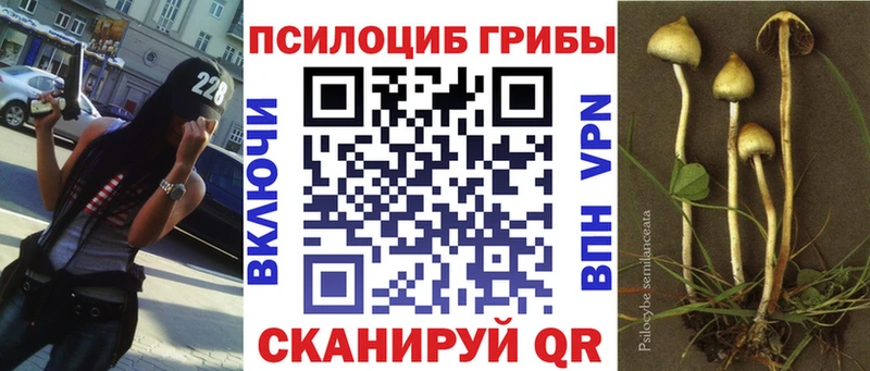 даркнет формула  Белоусово  Галлюциногенные грибы Cubensis 